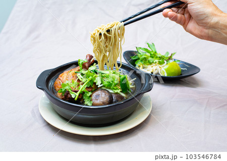 定番ベトナム料理のチキンヌードルを持ち上げる右手 横写真 定番ベトナム料理のチキンヌードルを持ち上げる右手 横写真 103546784