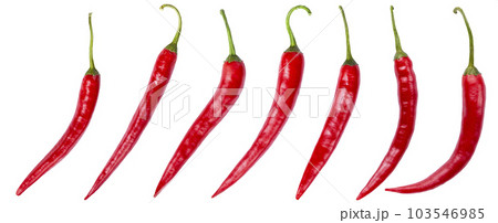 Set chili pepper isolated on white background. Chili hot peppers whole. Set chili pepper isolated on white background. Chili hot peppers whole. 103546985