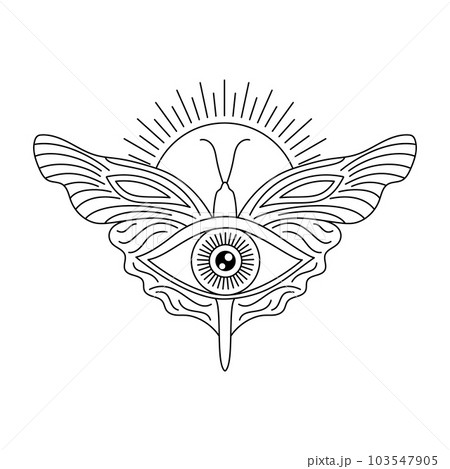 All seeing eye and butterfly All seeing eye and butterfly 103547905