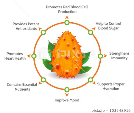 Kiwano melon benefits diagram Kiwano melon benefits diagram 103548916