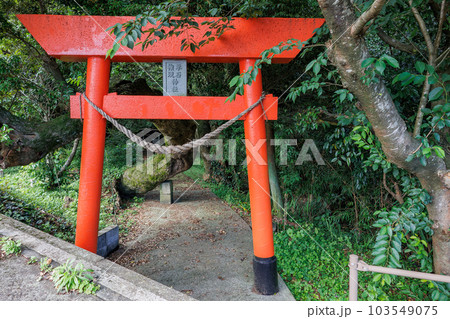 平石権現神社 103549075