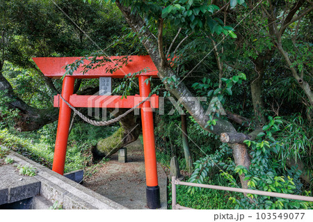 平石権現神社 103549077