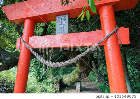 平石権現神社 103549079