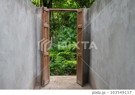 Open wooden door way to forest with natural green plant 103549117
