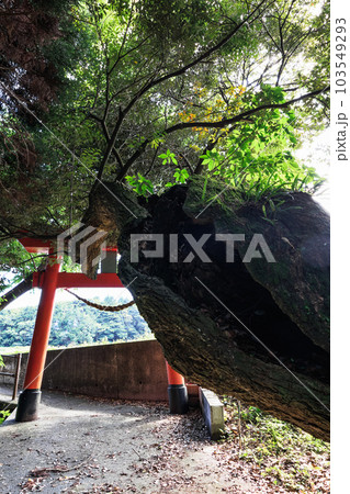 平石権現神社 平石権現神社 103549293