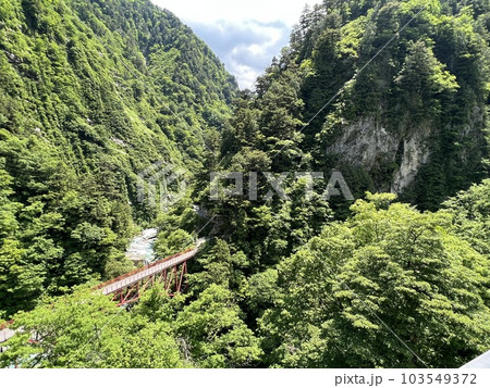 峡谷の上から見下ろす赤い橋 103549372