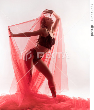sexy girl in underwear under a transparent red fabric poses erotically and sensually on a white background sexy girl in underwear under a transparent red fabric poses erotically and sensually on a white background 103549675
