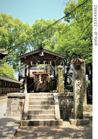 藤森神社・旗塚といちいの木 藤森神社・旗塚といちいの木 103549982