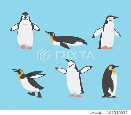 Penguin as Aquatic Flightless Bird withのイラスト素材 