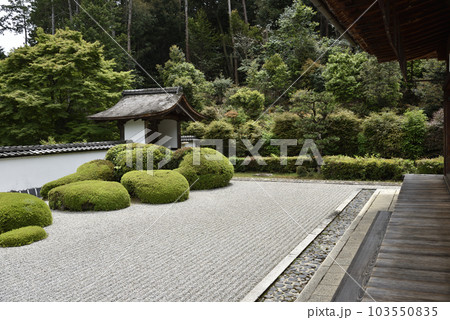 正伝寺　	方丈から臨む獅子の児渡し庭園 103550835