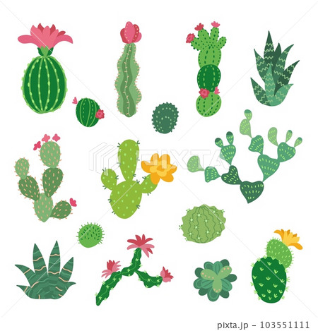 Decorative cactus collection. Cacti flowers symbols, mexico desert plants icons. Mexican or arizona cartoon elements, nowaday vector clipart 103551111