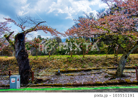 福島県　会津若松　鶴ヶ城　椿坂 103551191