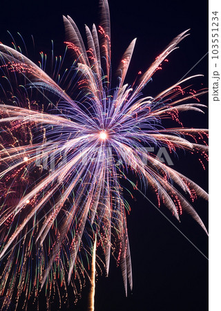 夜空に大きく打ち上がる花火・単発（戸田橋・板橋花火大会） 103551234