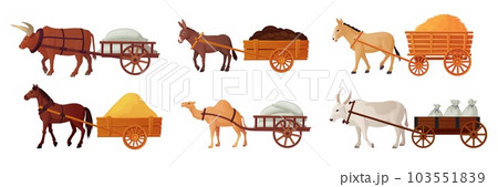Draft animals cart. Yoke oxen pulling carts, village horse farm power cattle for work, indian bull historical medieval transport asian cow ox working, ingenious vector illustration 103551839