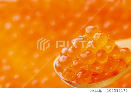 イクラの醤油漬け 103552172