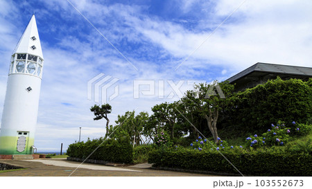 神奈川県三浦市城ヶ島の紫陽花 103552673