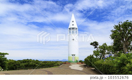 神奈川県三浦市城ヶ島の紫陽花 神奈川県三浦市城ヶ島の紫陽花 103552676