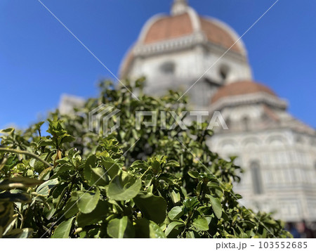 フィレンツェのドゥオーモの丸屋根が見える暮らし フィレンツェのドゥオーモの丸屋根が見える暮らし 103552685
