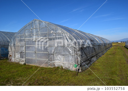農業用ビニールハウス 103552758