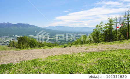 長野県富士見町の入笠湿原の鈴らん 103553620
