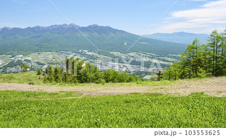 長野県富士見町の入笠湿原の鈴らん 103553625