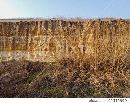 yellow and brown dirt texture background, with small rocks and dust.  103553990