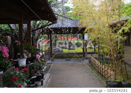 牡丹庭園店先の通りの景色 牡丹庭園店先の通りの景色 103554281