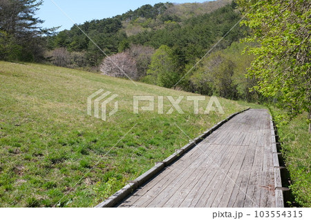 芸北八幡森林公園木道沿いの景色 103554315