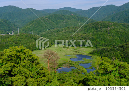 福井県敦賀市　手筒山からの眺望 103554501