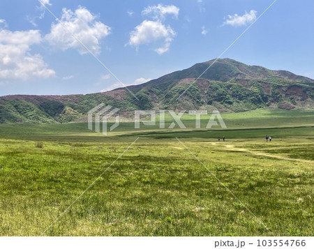 高原　原っぱ 103554766