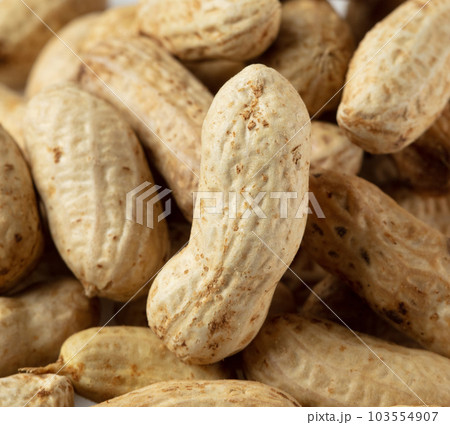 Pile group of boiled peanut, boiled peanut bean fall down pour on ground. Tropical boiled peanut shot close up. White background Isolated high speed shutter, freeze action 103554907