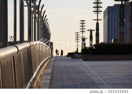 都会の夕暮れの橋 103555081