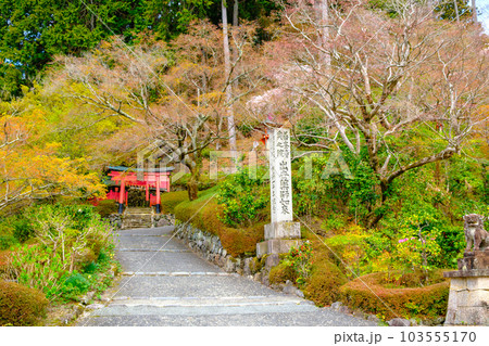 京都、西山善峯寺の稲荷社 103555170