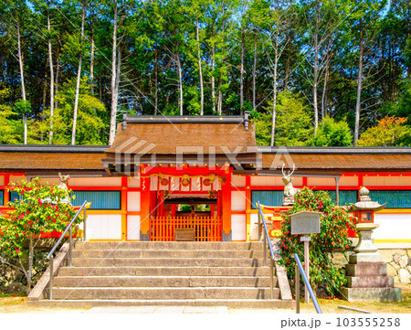 京都、大原野神社の本殿 103555258