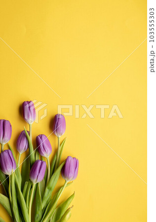 Spring fresh tulips on yellow background for mother's day, valentine greetingcard Spring fresh tulips on yellow background for mother's day, valentine greetingcard 103555303