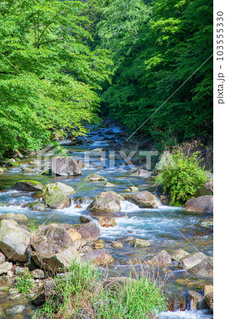 大芦川 滝ヶ花橋からの眺め 古峯神社付近 新緑の風景 鹿沼市 大芦川 滝ヶ花橋からの眺め 古峯神社付近 新緑の風景 鹿沼市 103555330