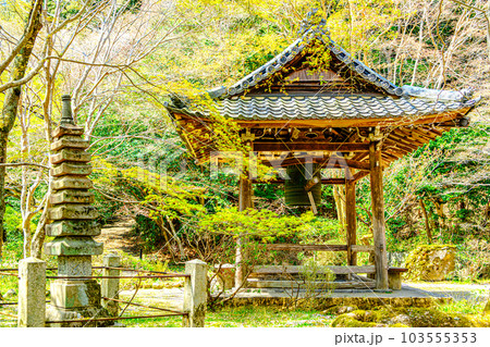 京都、勝持寺の九重石塔と鐘楼 103555353