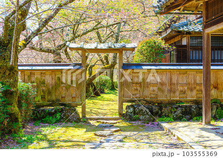 京都、勝持寺の境内 103555369