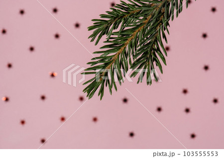 Background with a fir branch and stars on a pink background. 103555553