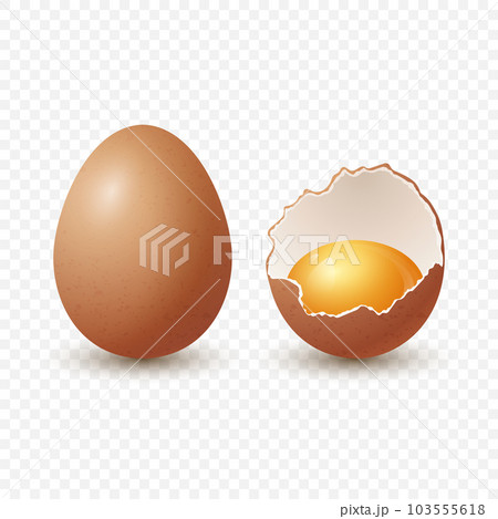 Vector 3d Realistic Brown Chicken Eggs. Textured Broken Chicken Egg, Two Parts, Opened Crack Raw Chicken Egg With Yolk Closeup Isolated. Vector Eggs Isolated. Whole, Half Egg in Front View 103555618