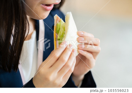 コンビニのサンドウィッチを食べるOL サンドイッチ 食事 コンビニのサンドウィッチを食べるOL サンドイッチ 食事 103556023