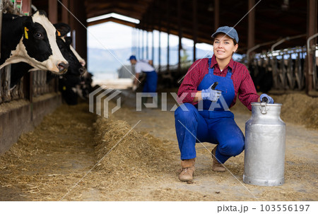 Portrait of young European woman dairy farmworker in uniform carrying metal milk can in cowshed 103556197