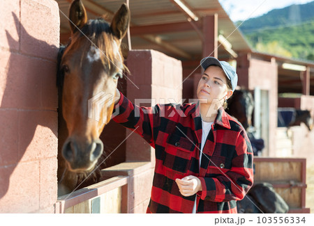 Caring young female stroking horse on animal ranch on autumn sunny day Caring young female stroking horse on animal ranch on autumn sunny day 103556334