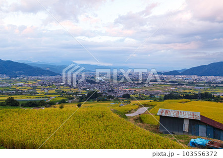 長野県/ 収穫前 夕刻の「姨捨の棚田」 長野県/ 収穫前 夕刻の「姨捨の棚田」 103556372