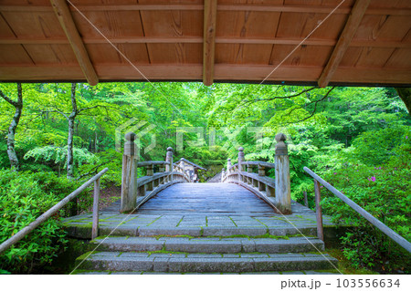 古峯神社　古峯園　入口門からの風景　新緑の季節　鹿沼市　 103556634