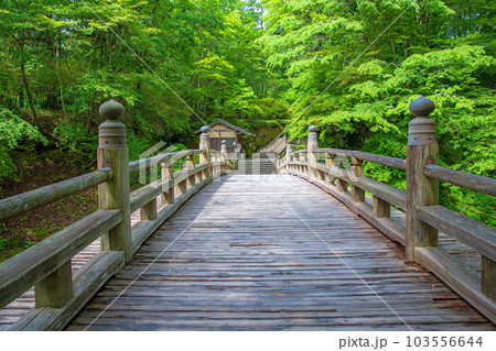 古峯神社 古峯園 入口門からの風景 新緑の季節 鹿沼市 古峯神社 古峯園 入口門からの風景 新緑の季節 鹿沼市 103556644