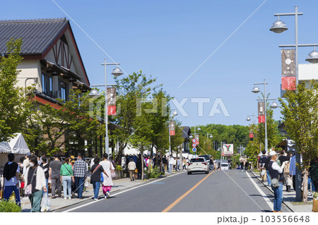 栃木県益子の陶器市 栃木県益子の陶器市 103556648