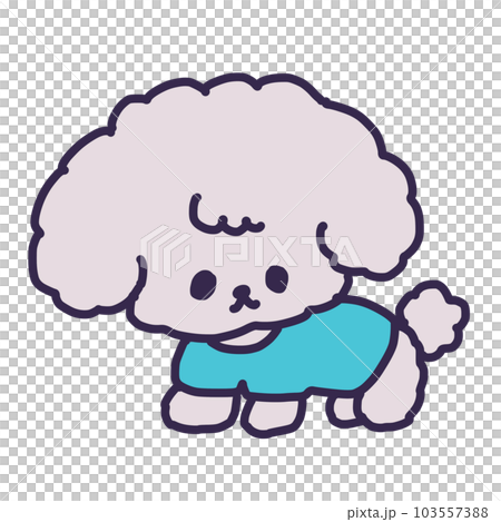 犬服を着たかわいいトイプードルの子犬のイラスト 103557388