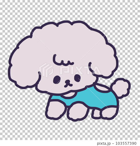 犬用術後服を着たかわいいトイプードルの子犬のイラスト 103557390