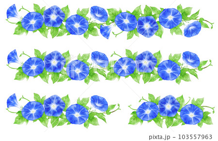アナログ水彩風の朝顔(濃い青)の飾り罫線セット アナログ水彩風の朝顔(濃い青)の飾り罫線セット 103557963